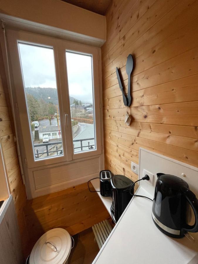 Appt Lumineux Centre Ville Du Mont Dore Vue Sancy Bagian luar foto